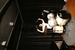 P1000237.JPG
