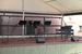 P1000733.JPG