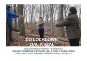 LDO - Co lockdown dal a vzal